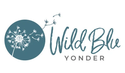 ThinkBig-Digital-Marketing-Wild-Blu-Yonder-logo ThinkBig-Digital-Marketing-Wild-Blu-Yonder-logo