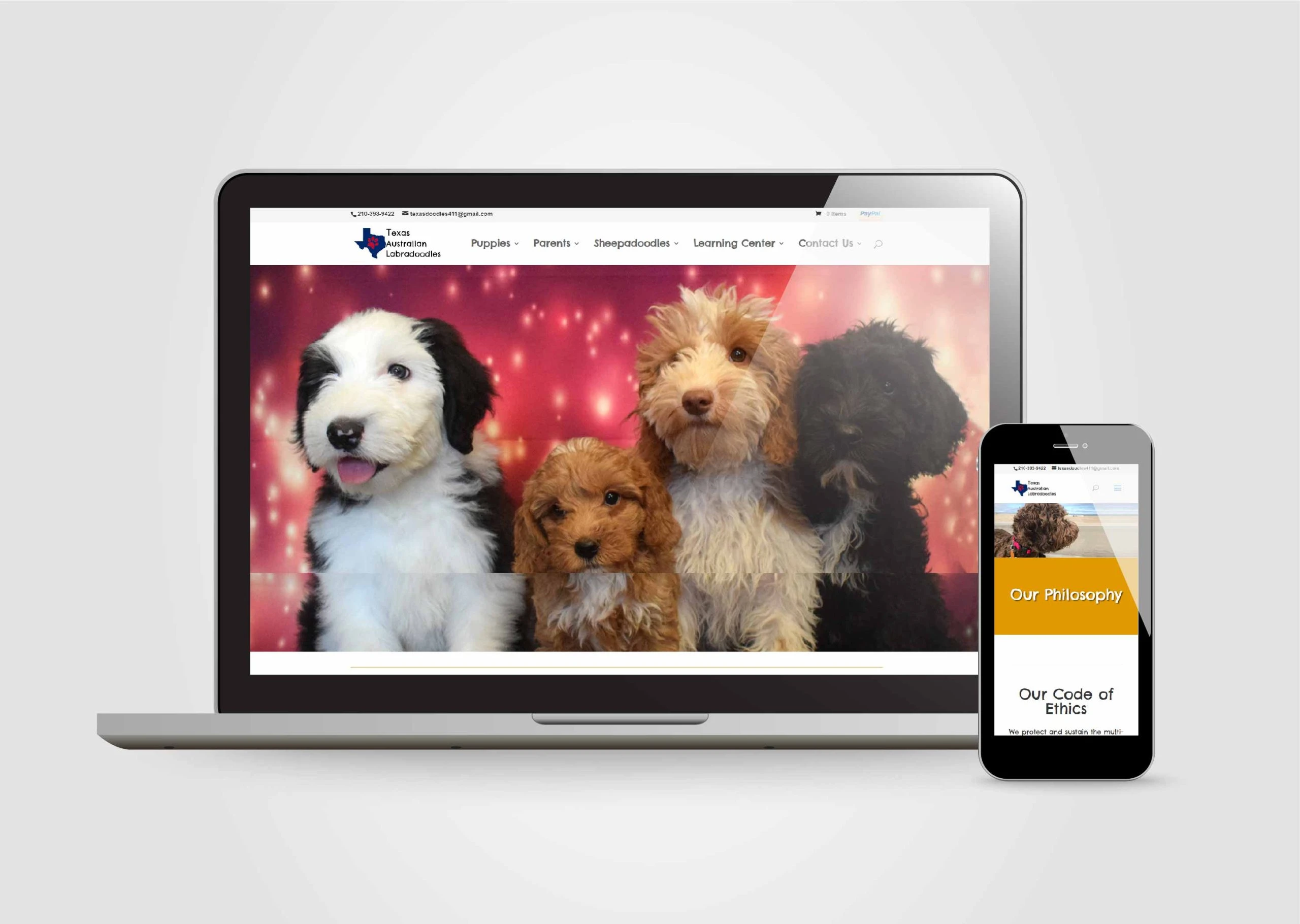 ThinkBig-Digital-Marketing-website-portfolio-texas-australian-labradoodles ThinkBig-Digital-Marketing-website-portfolio-texas-australian-labradoodles